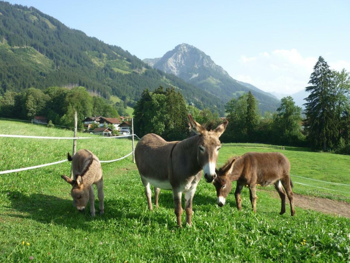 Ferienhof Alfred Albrecht Oberstdorf Esterno foto