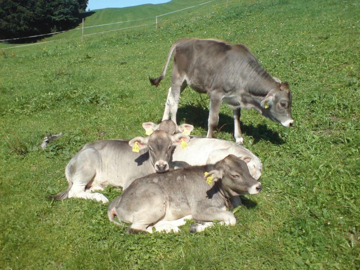 Ferienhof Alfred Albrecht Oberstdorf Esterno foto